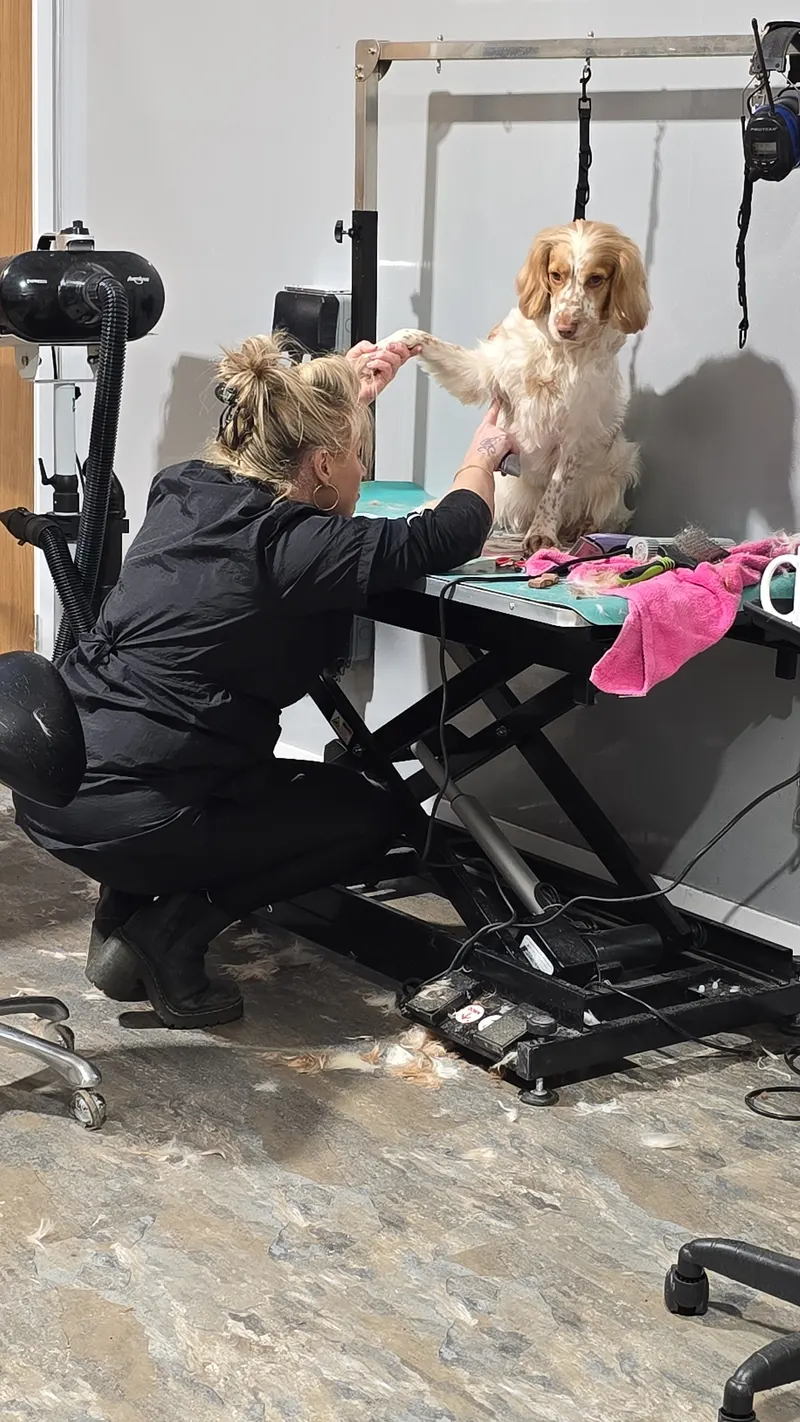 Louise trimming a dog's paws